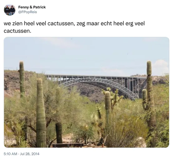 we zien heel veel cactussen, zeg maar echt heel erg veel cactussen. http://t.co/yHlpXZI1WL
