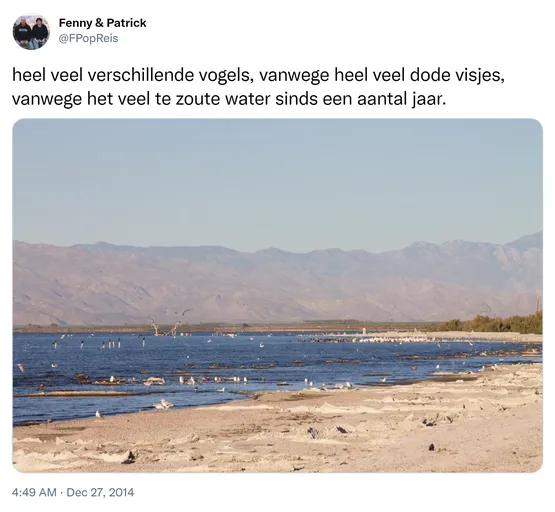 heel veel verschillende vogels, vanwege heel veel dode visjes, vanwege het veel te zoute water sinds een aantal jaar. http://t.co/unzvS8NToe
