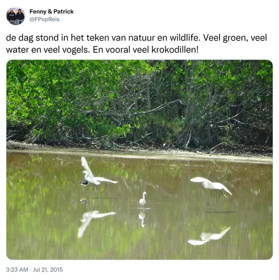 de dag stond in het teken van natuur en wildlife. Veel groen, veel water en veel vogels. En vooral veel krokodillen! http://t.co/s8NXSEwOVn
