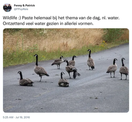 Wildlife :) Paste helemaal bij het thema van de dag, nl. water. Ontzettend veel water gezien in allerlei vormen. https://t.co/WSjKT8o4Uj
